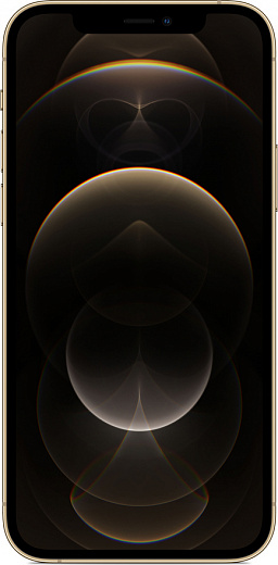 Смартфон Apple iPhone 12 Pro 256GB (золото)